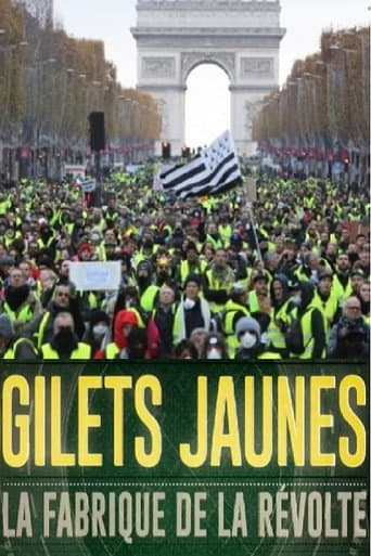 Gilets jaunes : La fabrique de la révolte afişi
