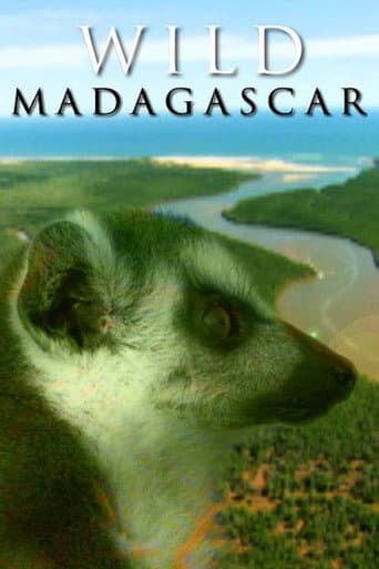 Wild Madagascar afişi