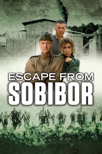 Escape from Sobibor afişi