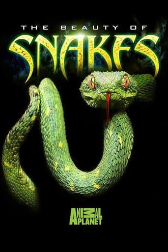The Beauty of Snakes afişi