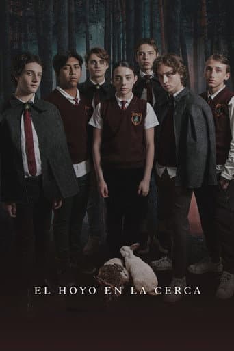 El hoyo en la cerca afişi