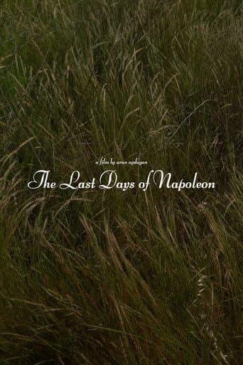 The Last Days of Napoléon afişi