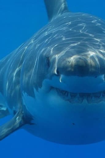 Dobrodružství oceánů: Mýtus jménem žralok