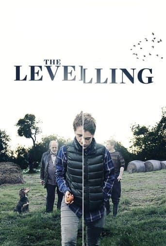 The Levelling afişi