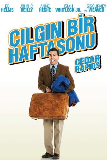 Çılgın Bir Haftasonu afişi
