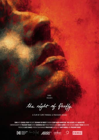 The Night of Firefly afişi