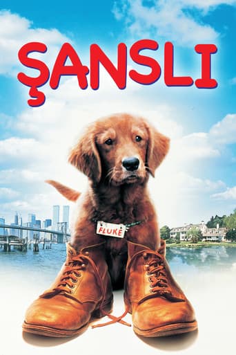 Şanslı afişi