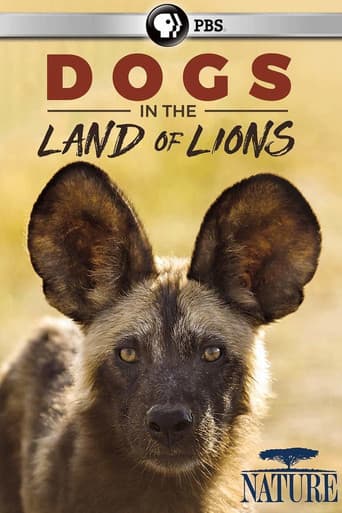Dogs in the Land of Lions afişi
