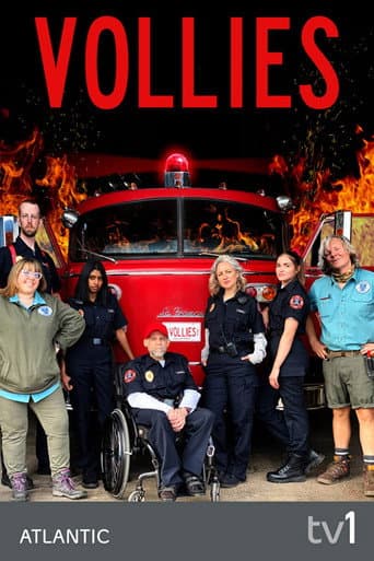 Vollies afişi