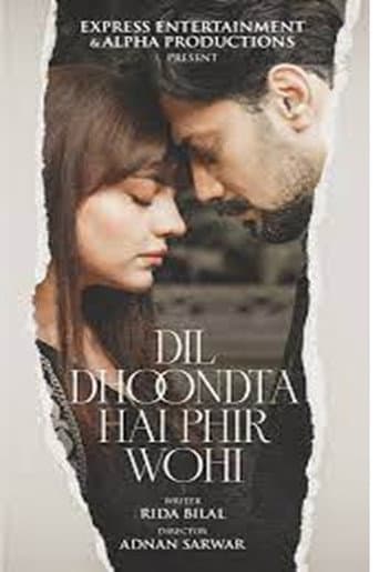Dil Dhoondta Hai Phir Wohi afişi