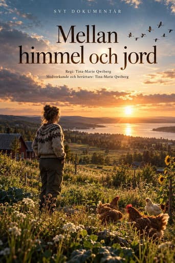 Mellan himmel och jord afişi