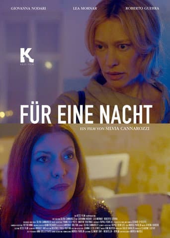 Für eine Nacht afişi