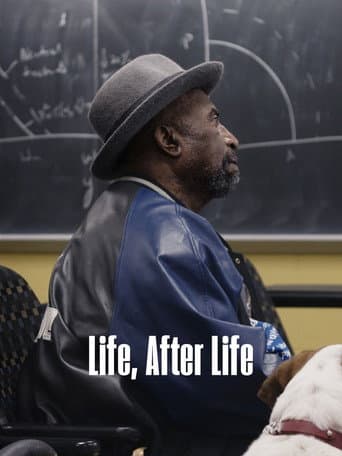 Life, After Life afişi