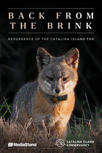 Back from the Brink: Resurgence of the Catalina Island Fox afişi