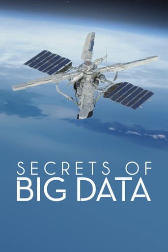 Secrets of Big Data afişi
