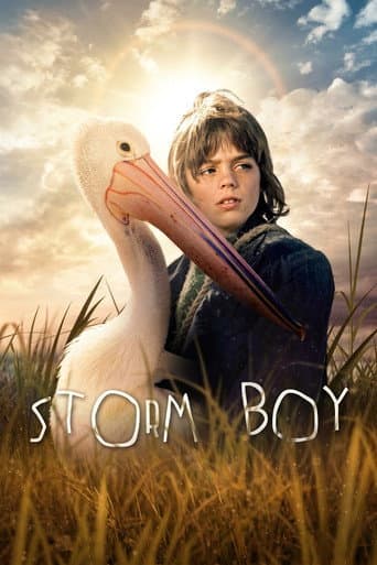 Storm Boy afişi