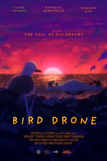 Bird Drone afişi