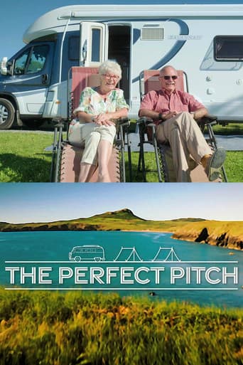 The Perfect Pitch afişi