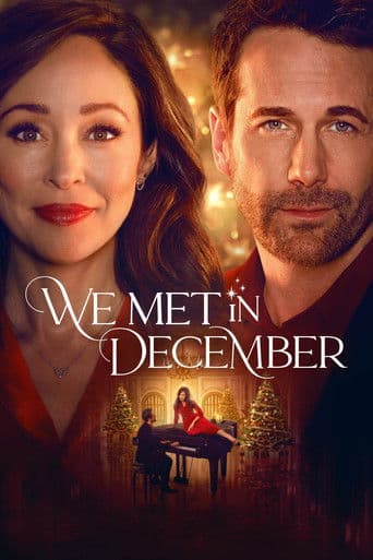 We Met in December afişi