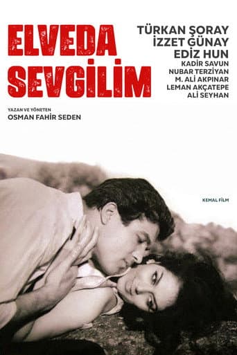 Elveda Sevgilim afişi
