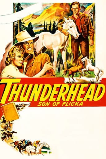 Thunderhead: Son of Flicka afişi