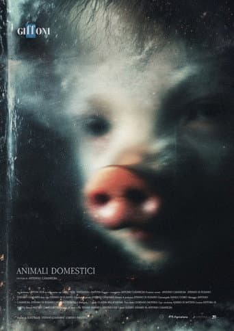 Animali Domestici afişi