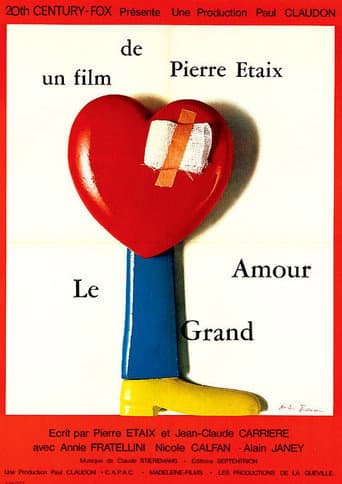 Le Grand Amour afişi