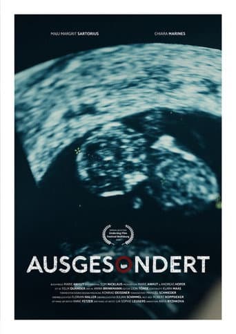 Screened Out afişi