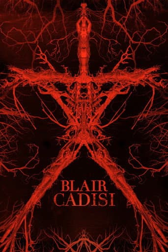 Blair Cadısı afişi
