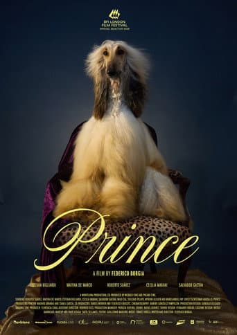 Prince afişi