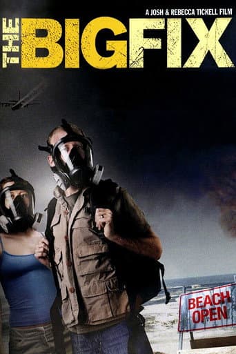 The Big Fix afişi