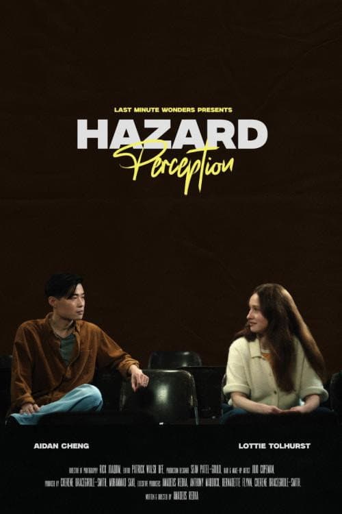 Hazard Perception afişi