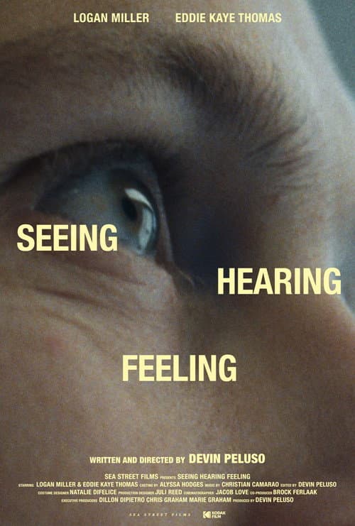 Seeing Hearing Feeling afişi