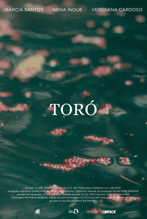 Toró afişi