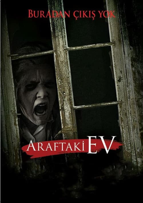 Araftaki Ev afişi