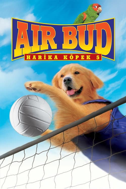Harika Köpek 5 afişi