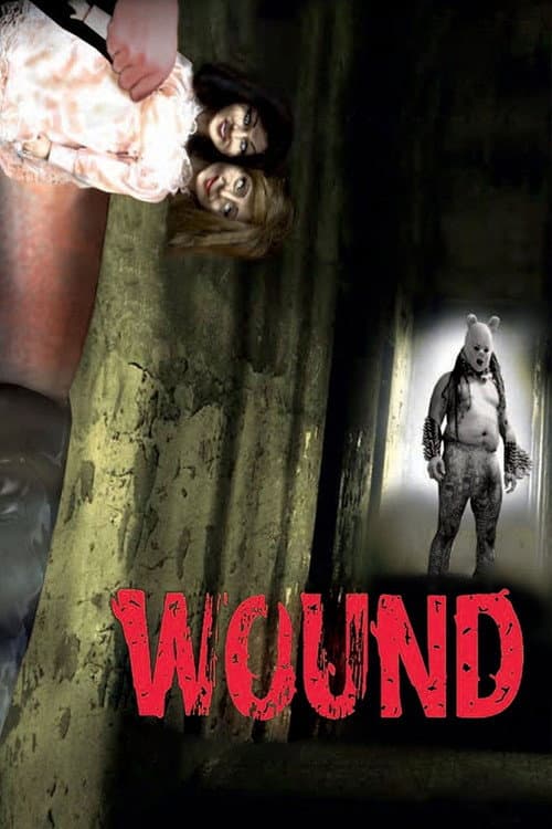 Wound afişi