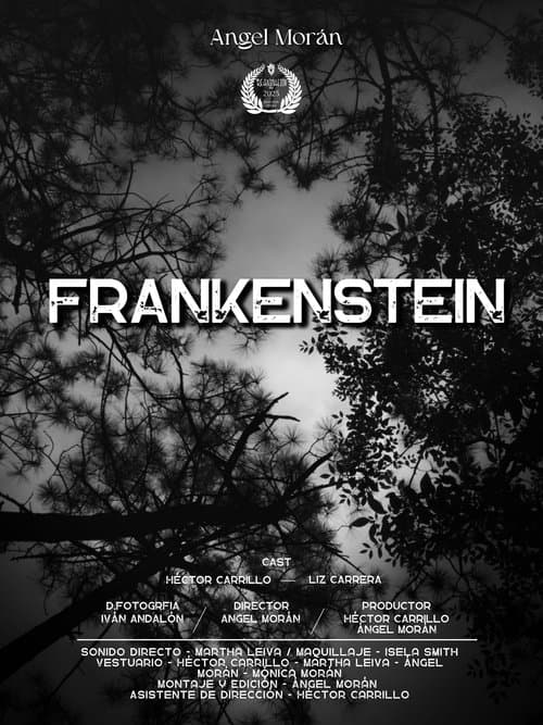 Frankenstein afişi