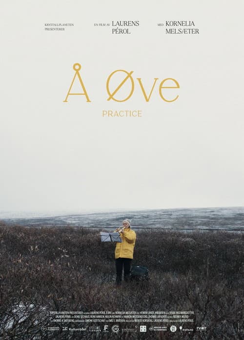 Å øve afişi
