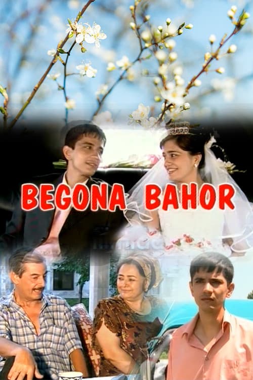 Begona Bahor afişi