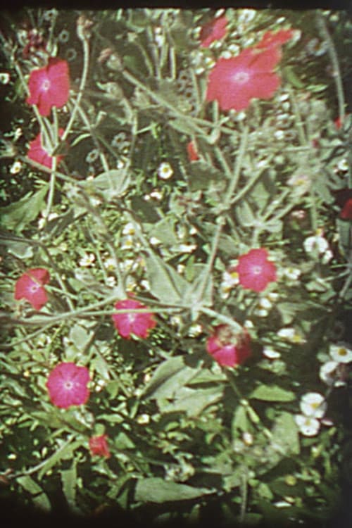 Precarious Garden afişi