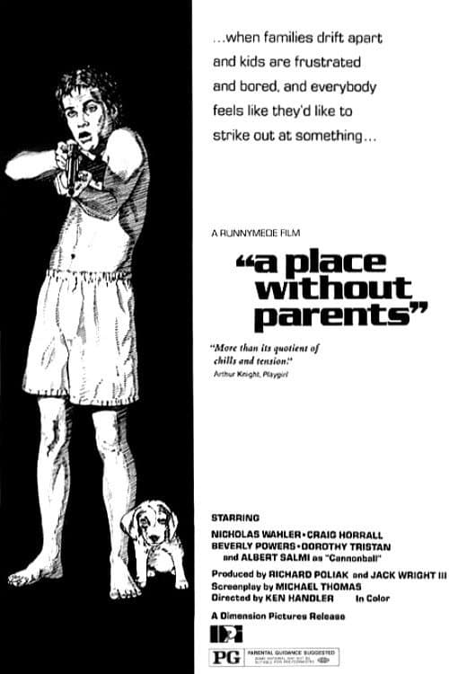 A Place Without Parents afişi
