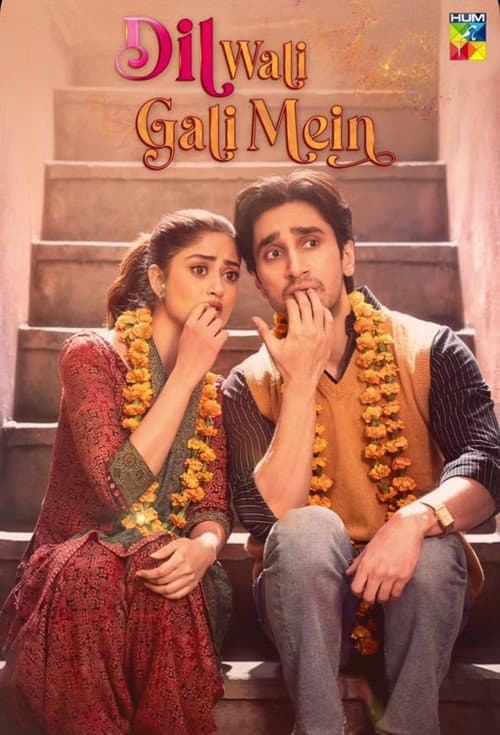 Dil Wali Gali Mein afişi