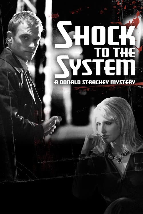 Shock to the System: A Donald Strachey Mystery afişi