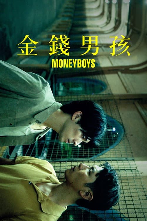 Moneyboys afişi