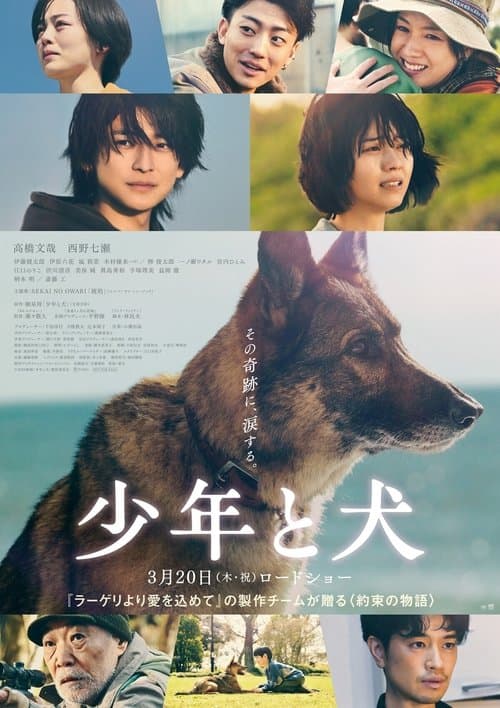 The Boy and the Dog afişi
