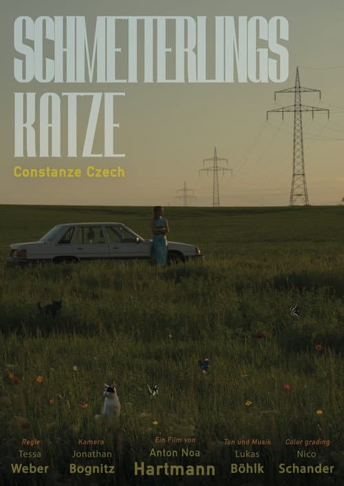 Schmetterlingskatze afişi