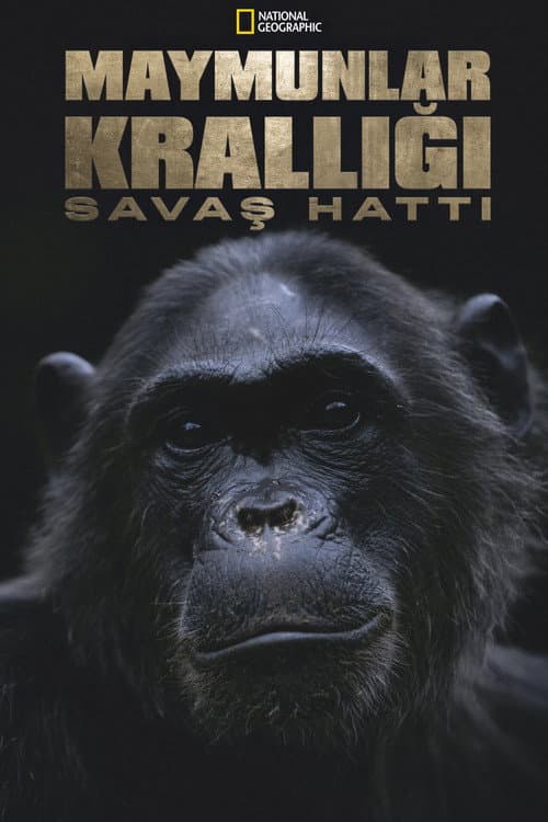 Maymunlar Krallığı: Savaş Hattı afişi