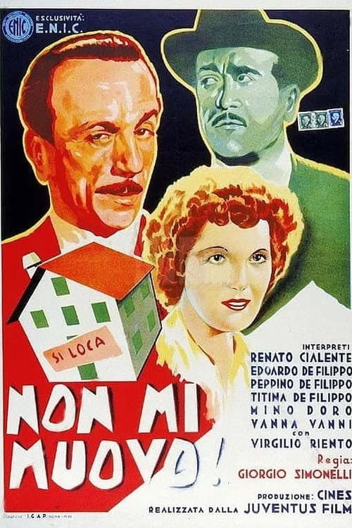 Non mi muovo! afişi