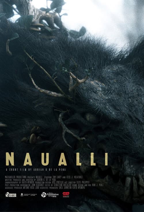 Naualli afişi